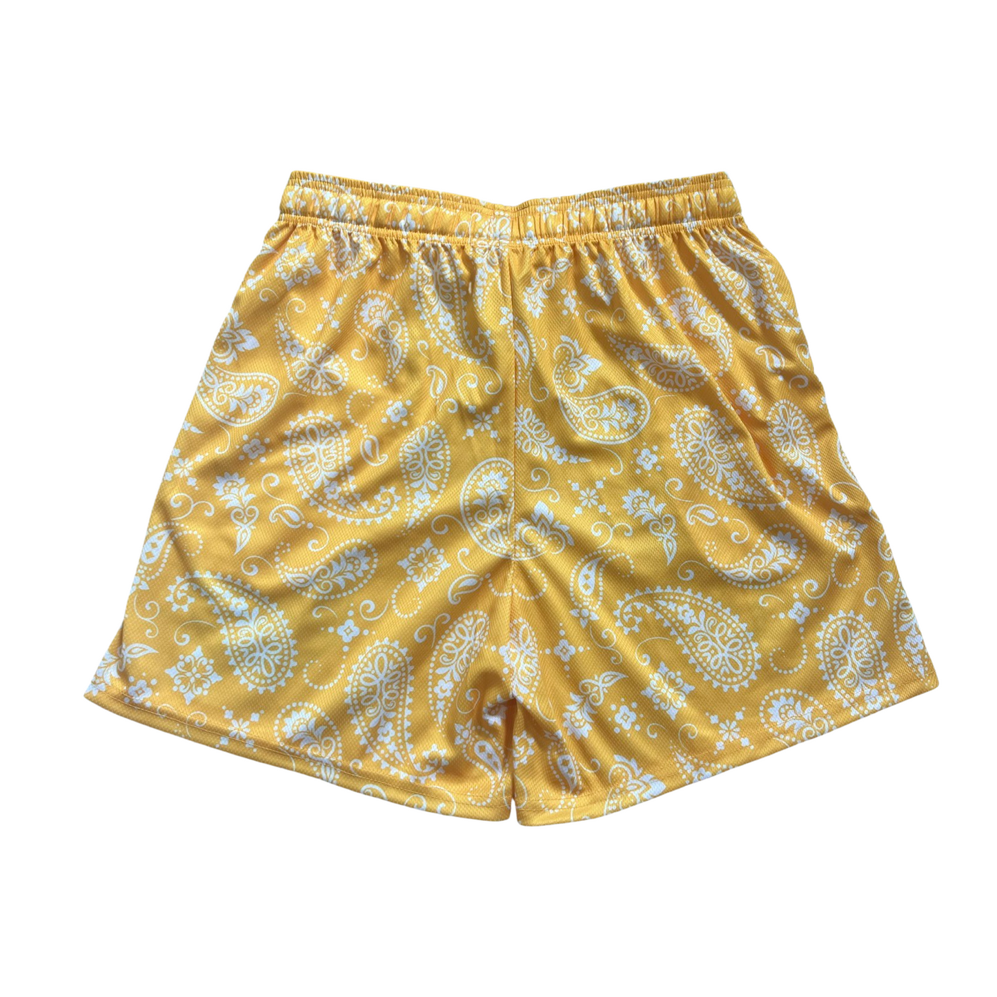 GS Warriors (Premise) Mesh Shorts