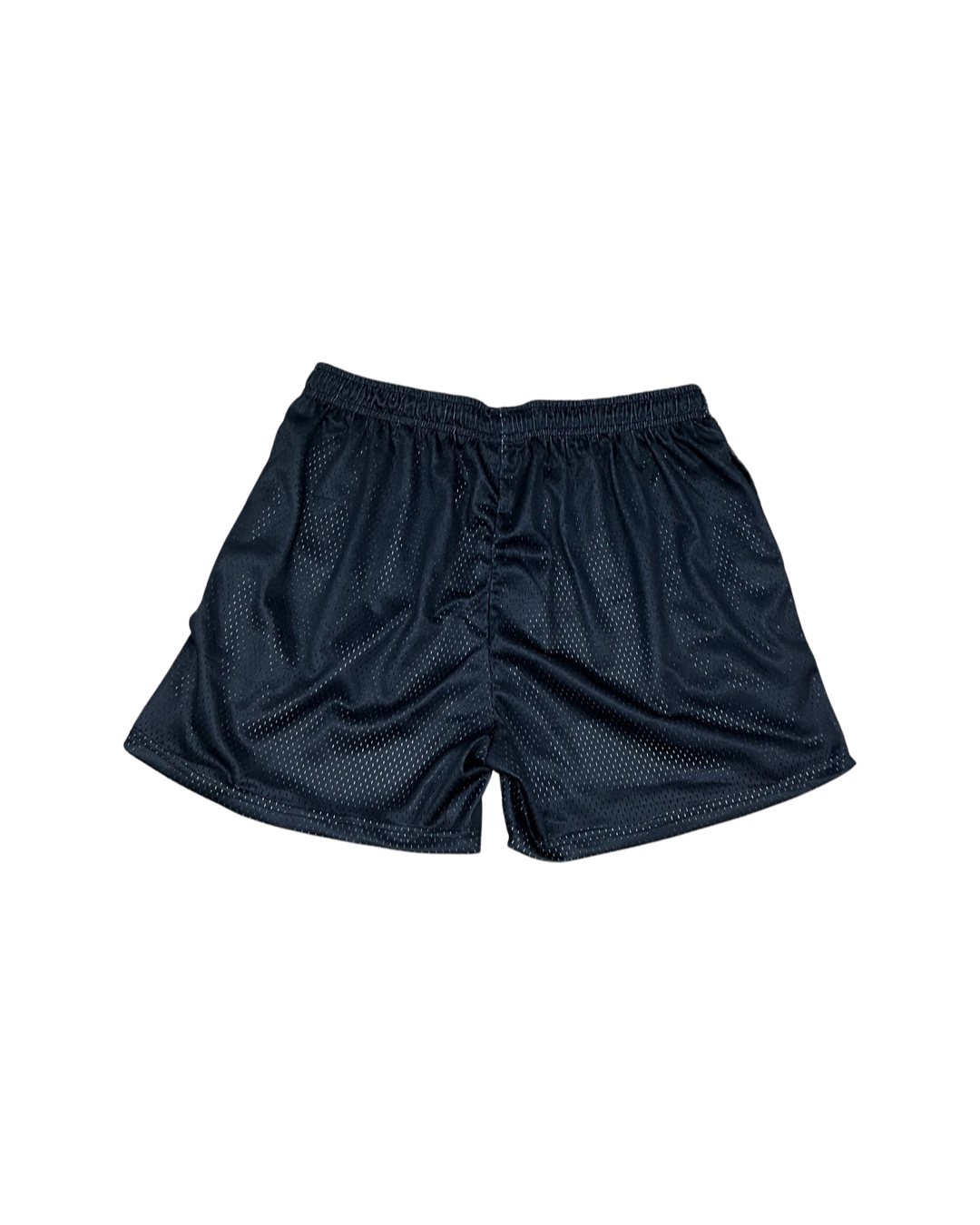 Premise X Trillion Boys® Black Mesh Shorts [LIMITED EDITION